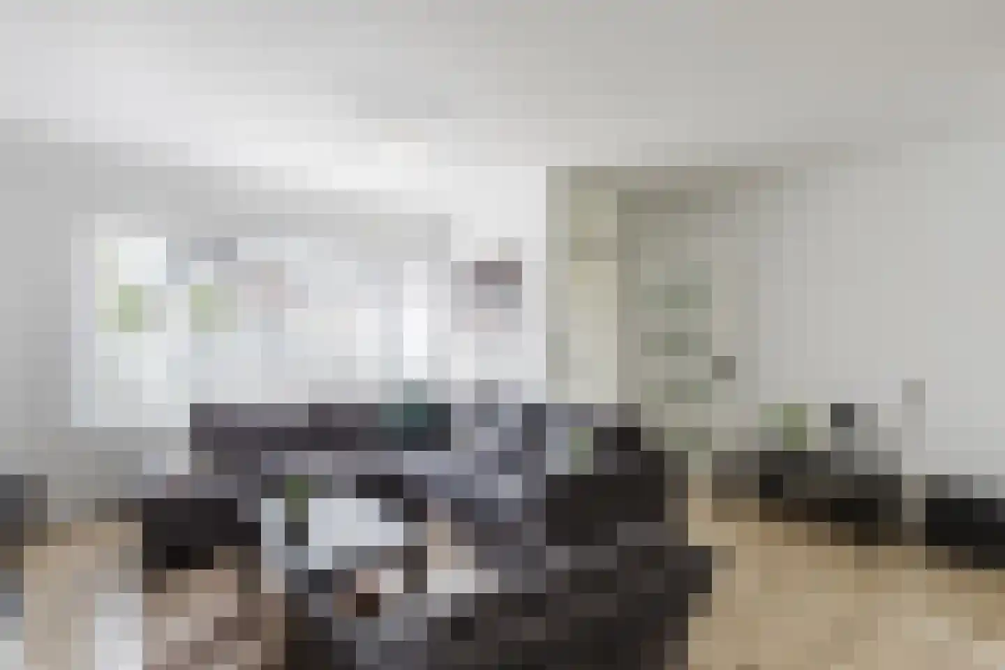 Scholekster 42 Mijdrecht thumbnail 5