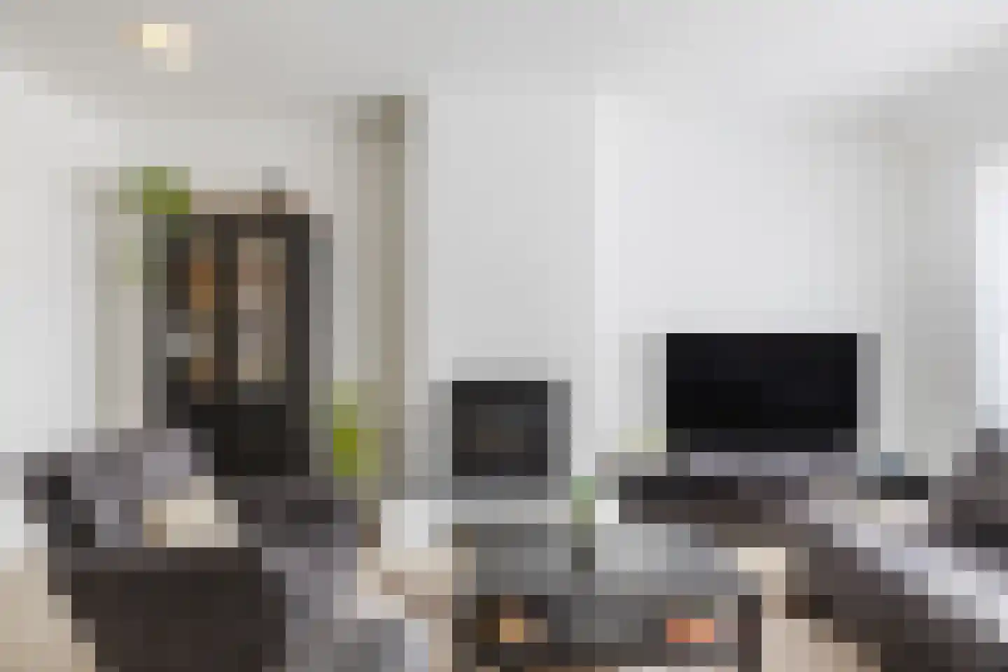 Scholekster 42 Mijdrecht thumbnail 8
