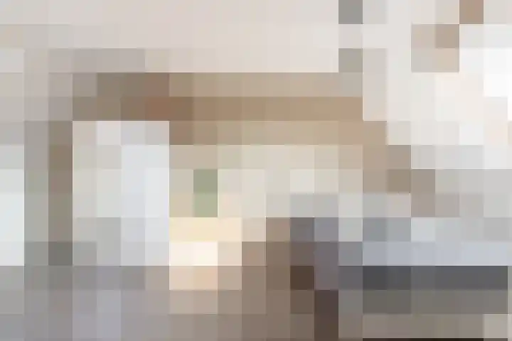 Scholekster 57 Bunschoten-Spakenburg thumbnail 27