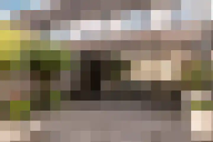 Scholekster 57 Bunschoten-Spakenburg thumbnail 31