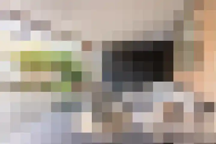 Scholekster 57 Bunschoten-Spakenburg thumbnail 33