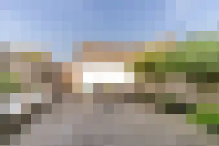 Scholekster 57 Bunschoten-Spakenburg thumbnail 35