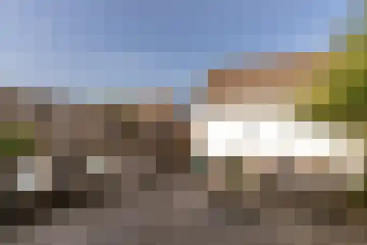 Scholekster 57 Bunschoten-Spakenburg thumbnail 36