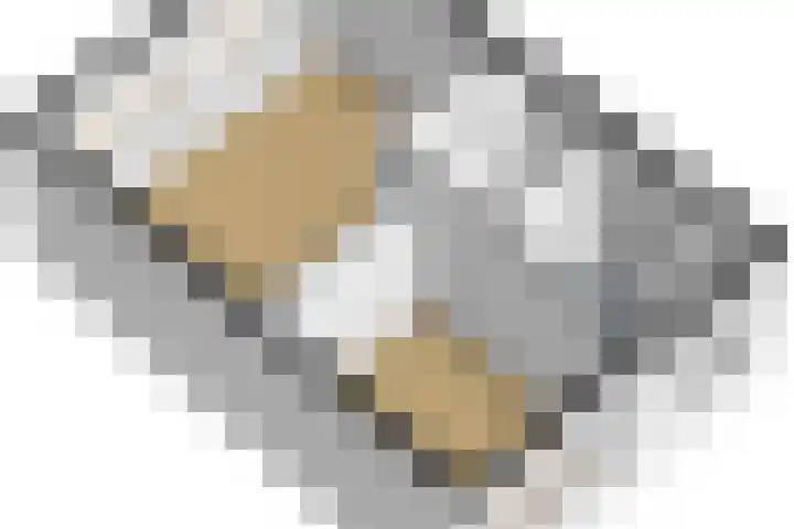 Scholekster 57 Bunschoten-Spakenburg thumbnail 43