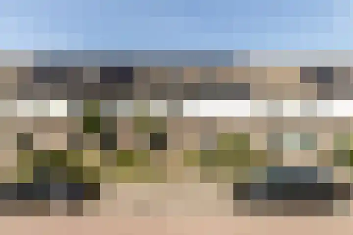 Scholekster 57 Bunschoten-Spakenburg thumbnail 46