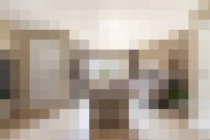 Scholekster 57 Bunschoten-Spakenburg thumbnail 5