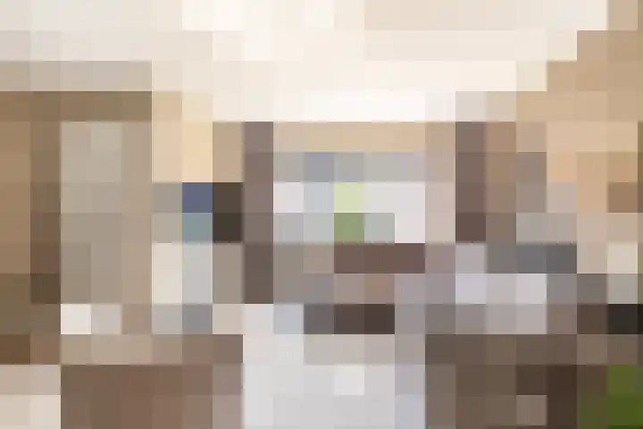 Scholekster 57 Bunschoten-Spakenburg thumbnail 7