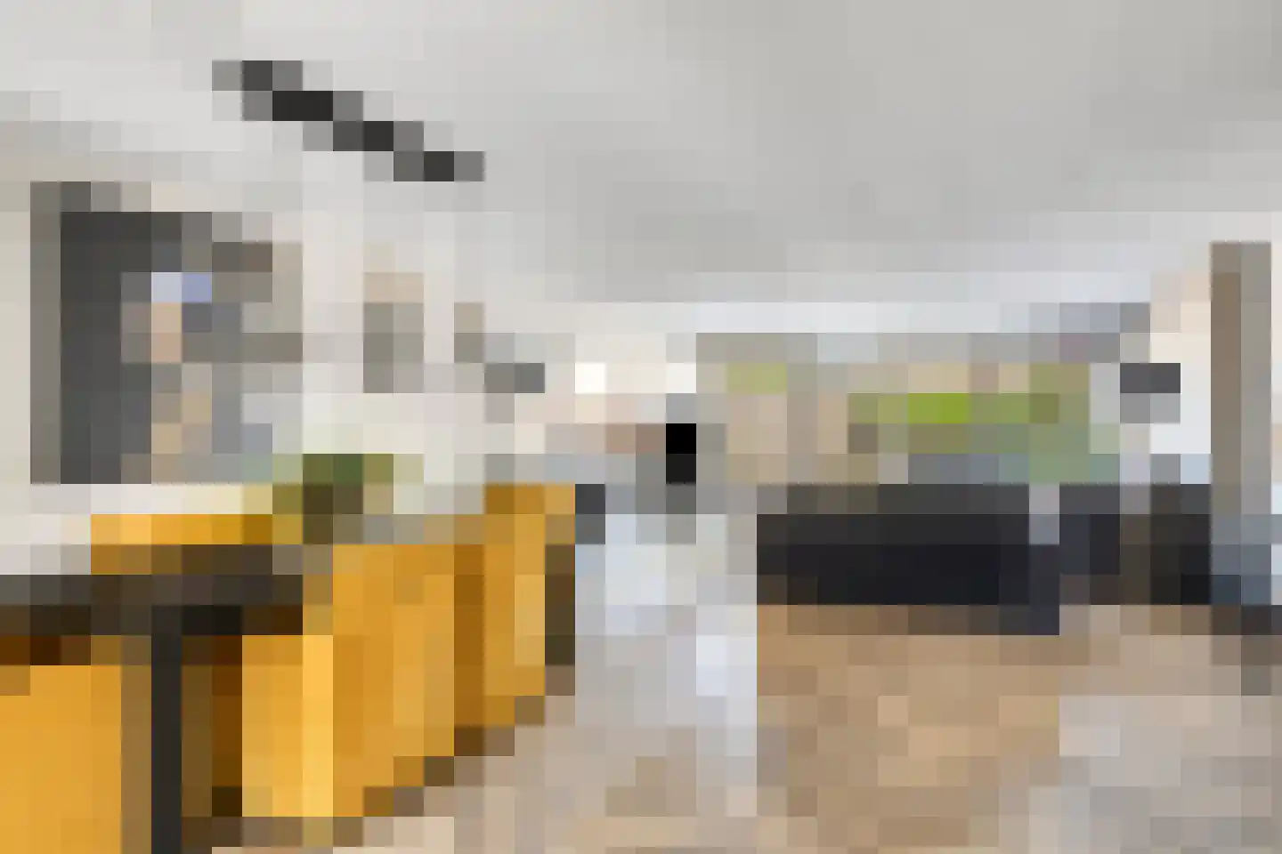 Scholekster 6 Oud-Beijerland thumbnail 19