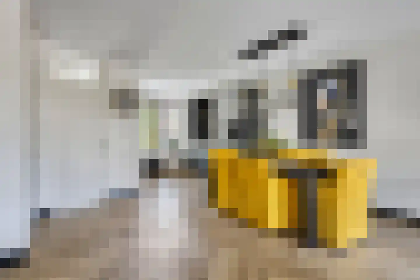 Scholekster 6 Oud-Beijerland thumbnail 20