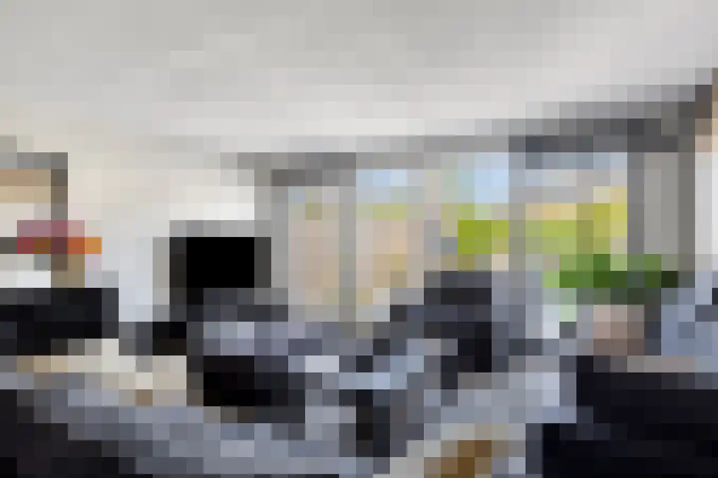 Scholekster 6 Oud-Beijerland thumbnail 24
