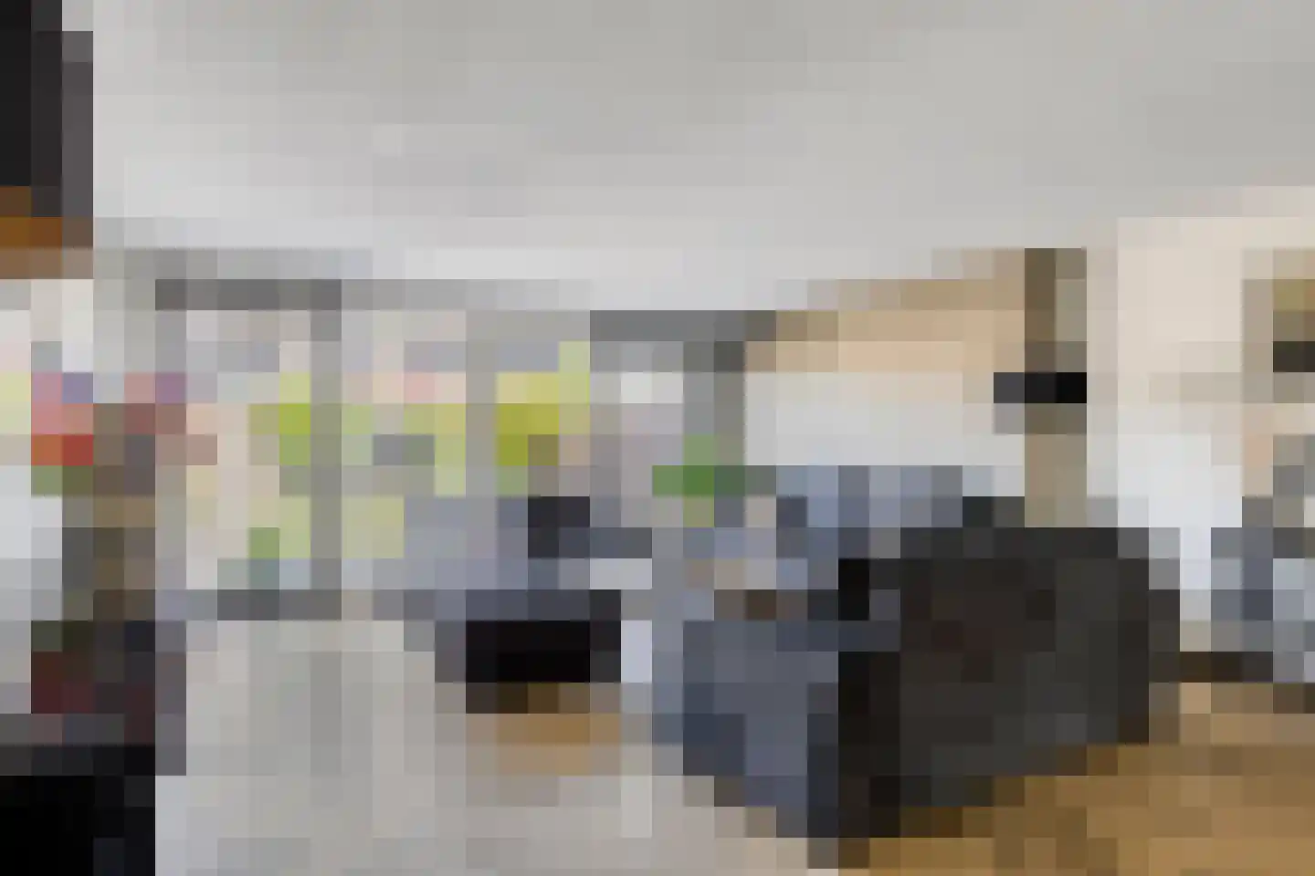 Scholekster 6 Oud-Beijerland thumbnail 25