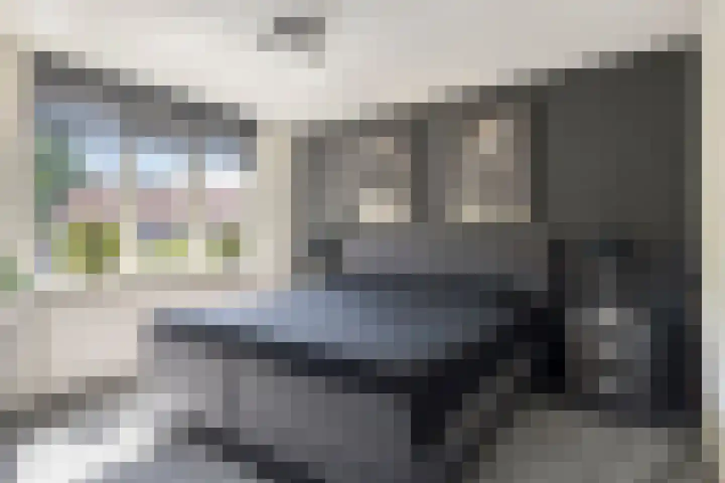 Scholekster 6 Oud-Beijerland thumbnail 30