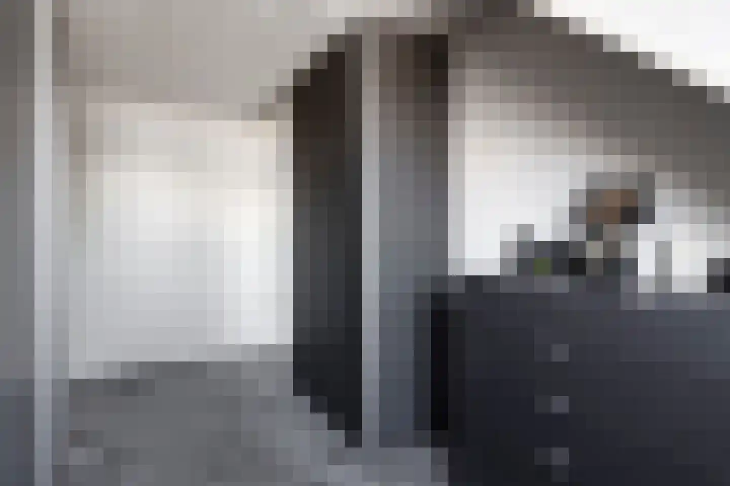 Scholekster 6 Oud-Beijerland thumbnail 35