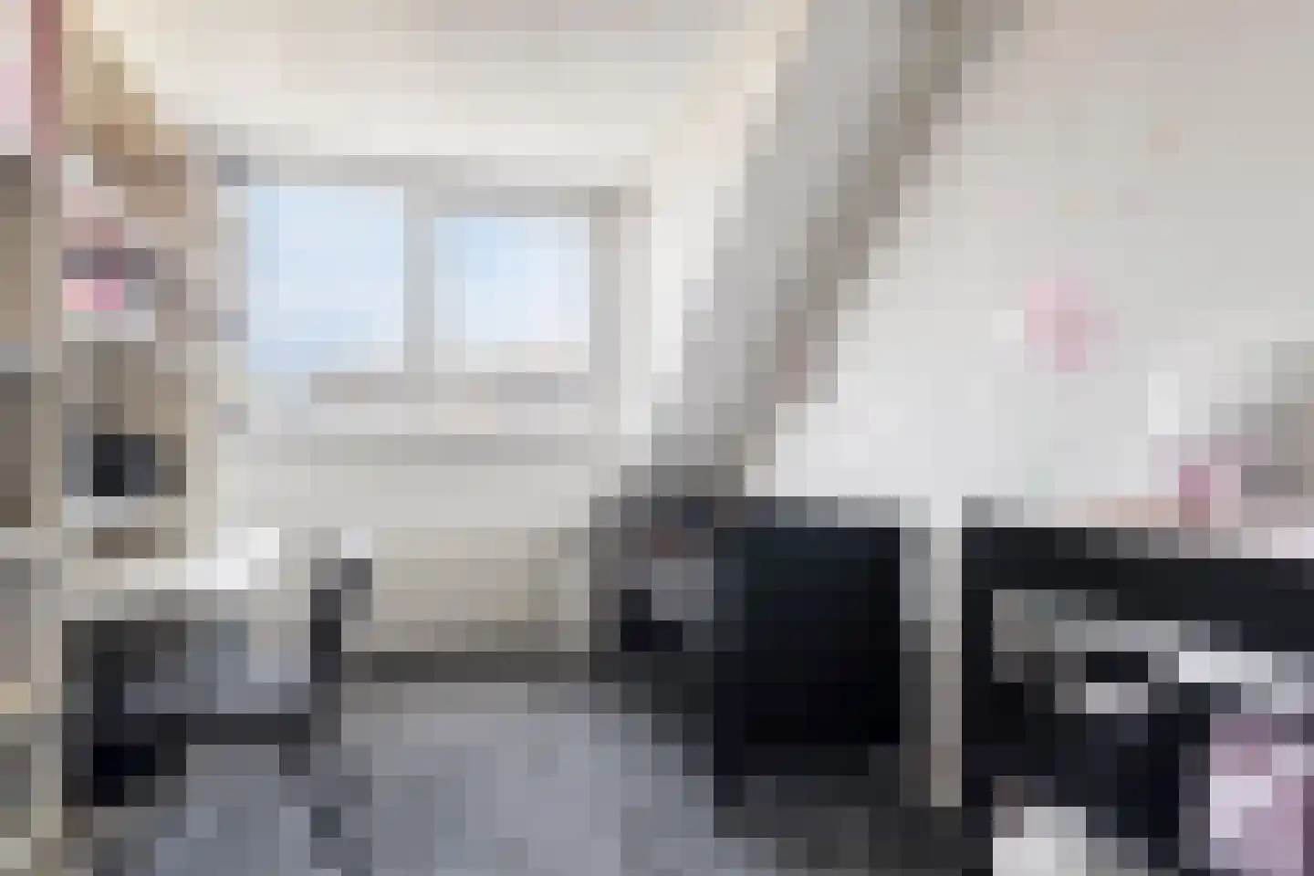 Scholekster 6 Oud-Beijerland thumbnail 36
