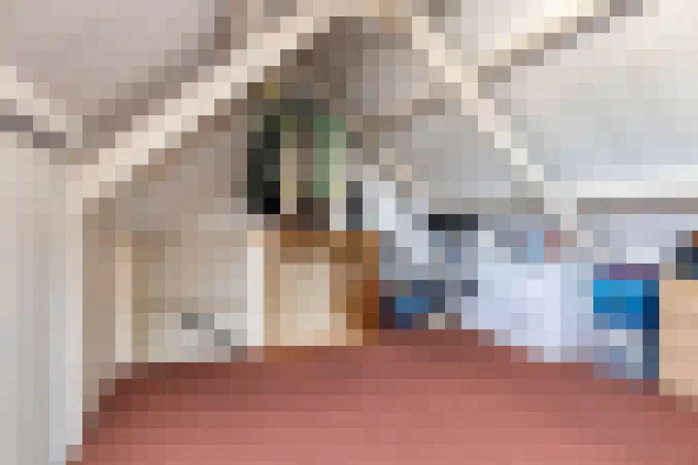 Scholekster 6 Oud-Beijerland thumbnail 39