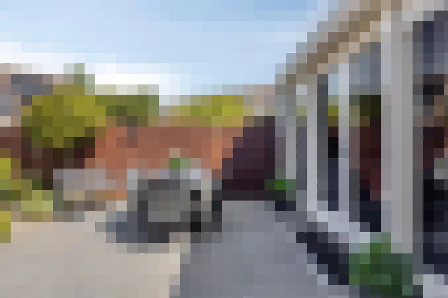 Scholekster 6 Oud-Beijerland thumbnail 41
