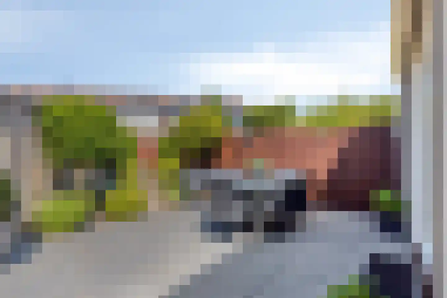 Scholekster 6 Oud-Beijerland thumbnail 43