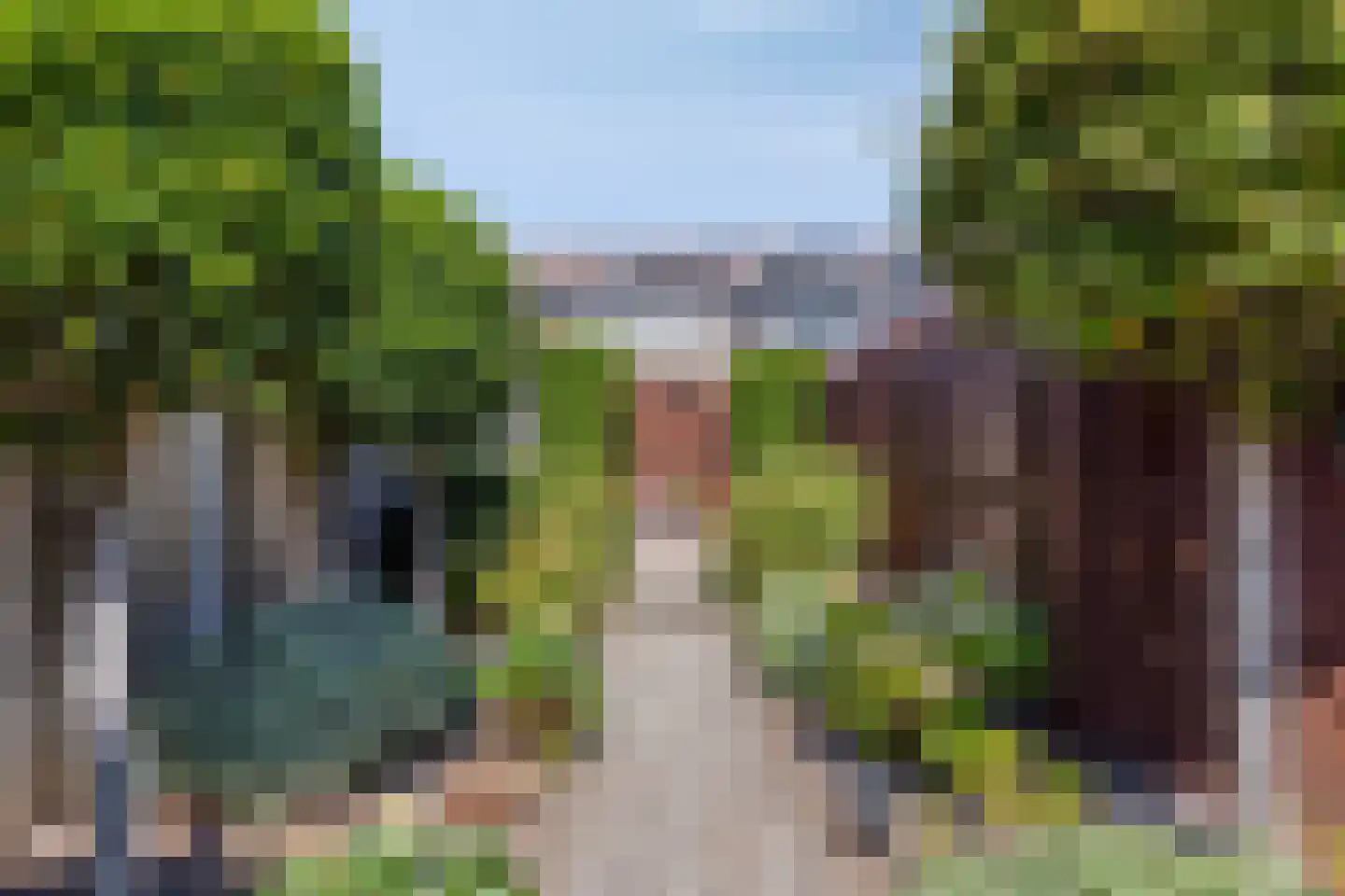 Scholekster 6 Oud-Beijerland thumbnail 44