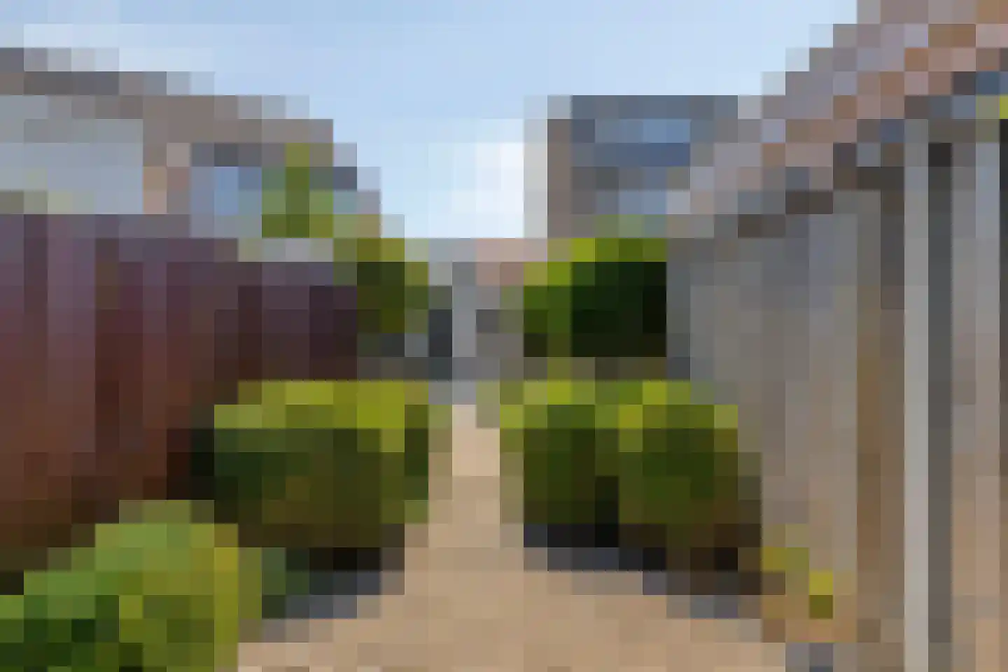Scholekster 6 Oud-Beijerland thumbnail 45