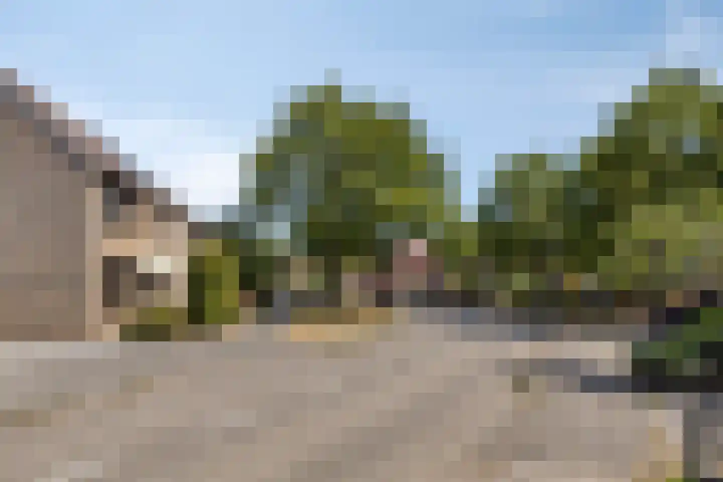 Scholekster 6 Oud-Beijerland thumbnail 48