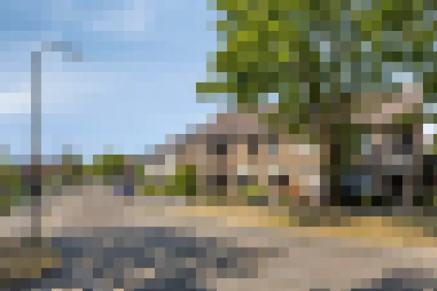 Scholekster 6 Oud-Beijerland thumbnail 49