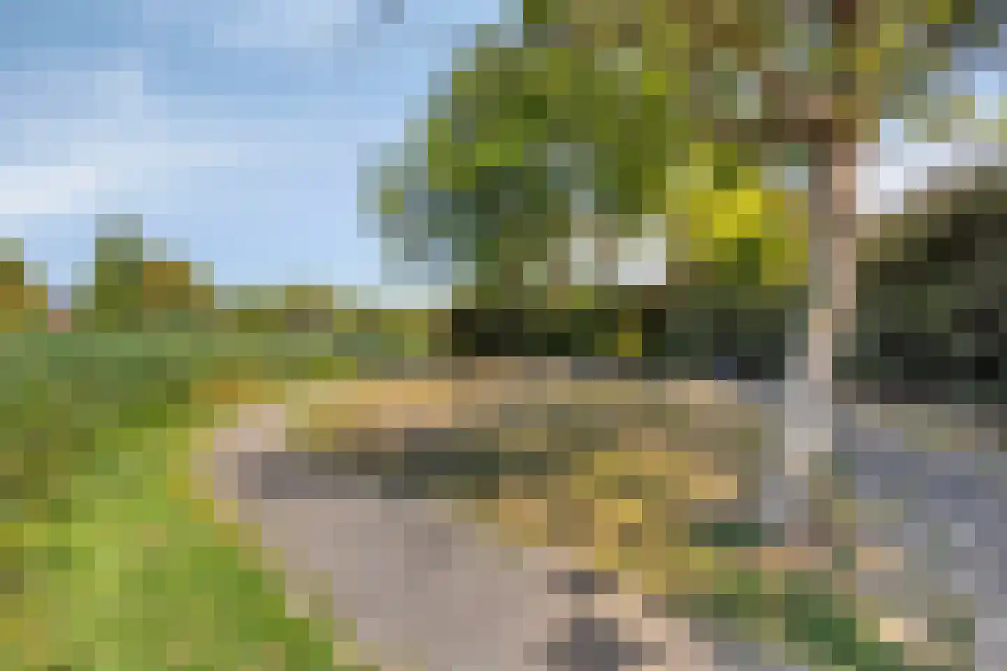 Scholekster 6 Oud-Beijerland thumbnail 52