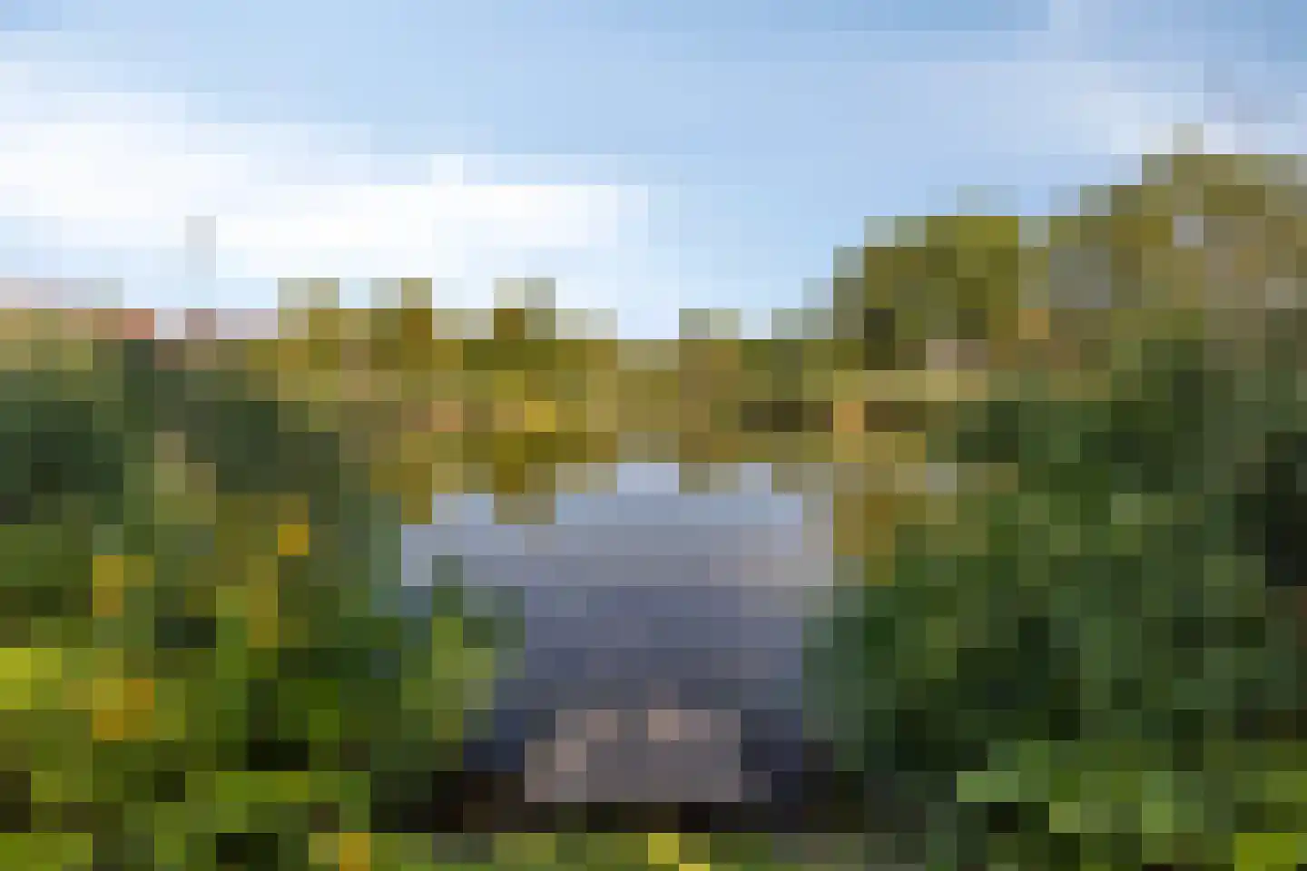 Scholekster 6 Oud-Beijerland thumbnail 53