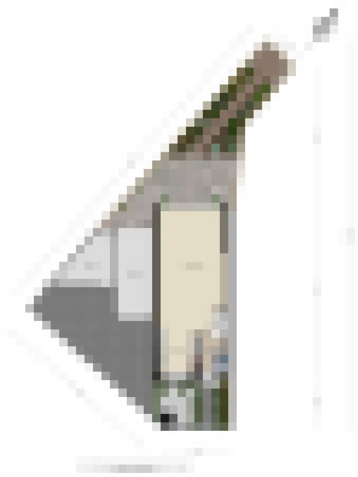 Scholekster 6 Oud-Beijerland thumbnail 55