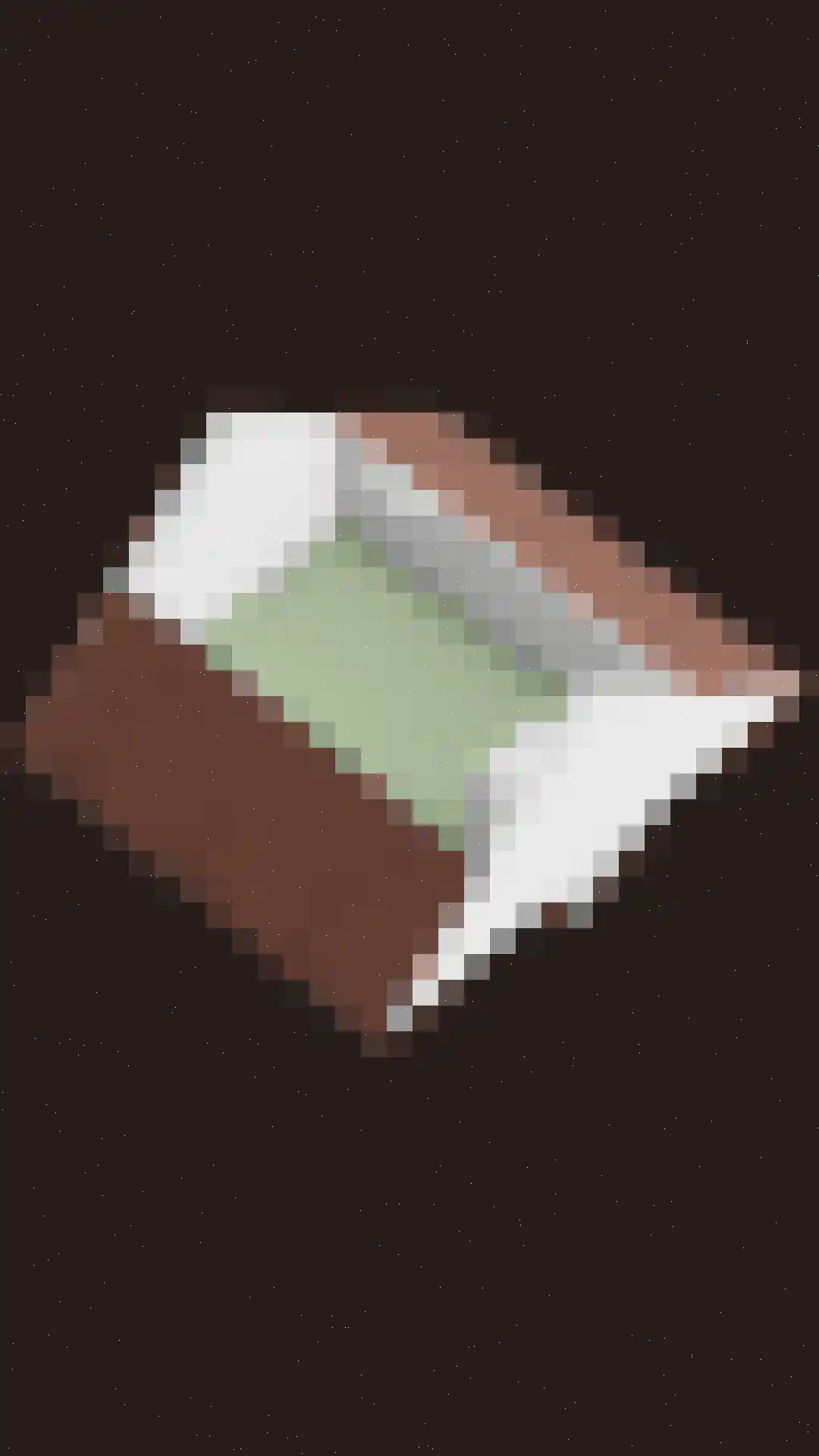Scholekster 6 Oud-Beijerland thumbnail 60