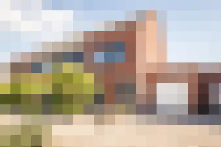 Scholekster 7 en Hoogkarspel