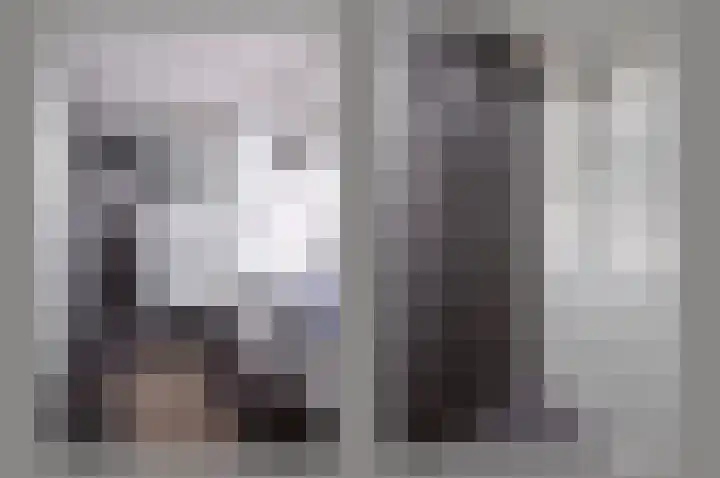 Scholekster 7 Kockengen thumbnail 13