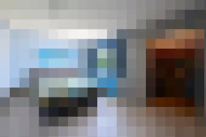 Scholekster 7 Kockengen thumbnail 14