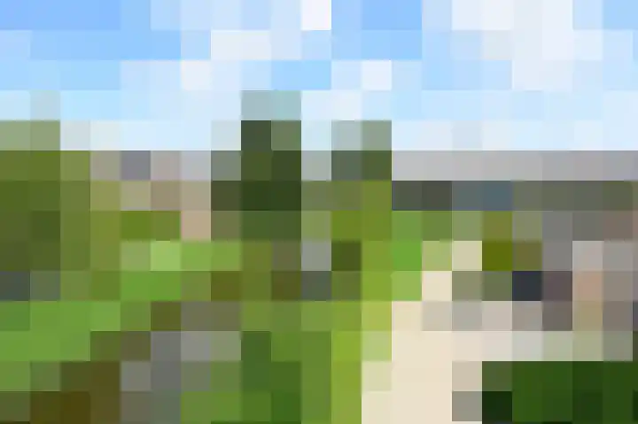 Scholekster 7 Kockengen thumbnail 25