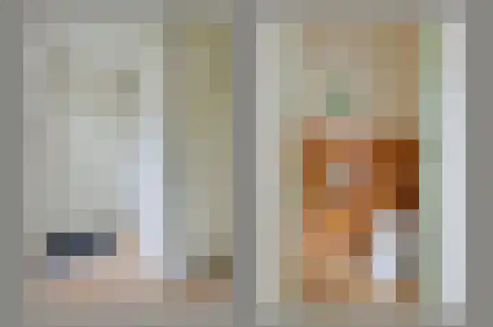 Scholekster 7 Kockengen thumbnail 5