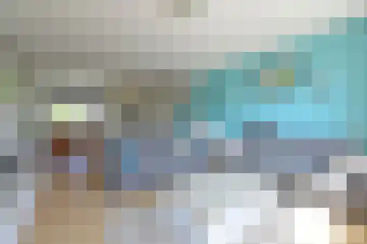Scholekster 7 Kockengen thumbnail 8