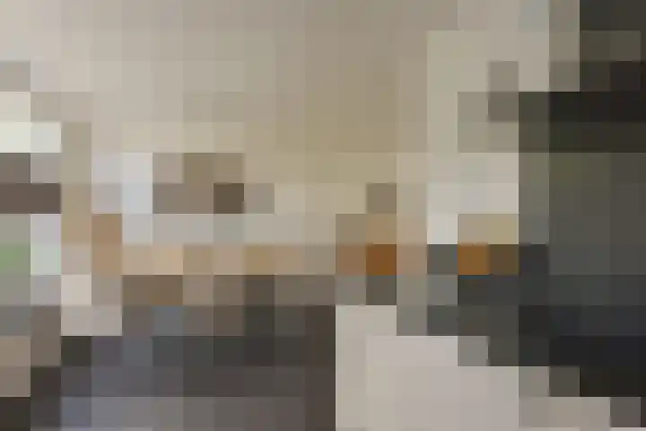 Scholekster 7 Mijdrecht thumbnail 10