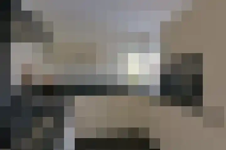 Scholekster 7 Mijdrecht thumbnail 11