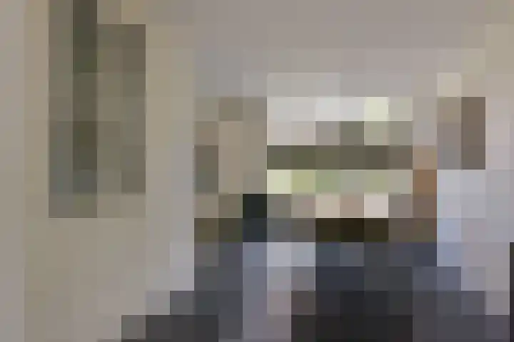 Scholekster 7 Mijdrecht thumbnail 12