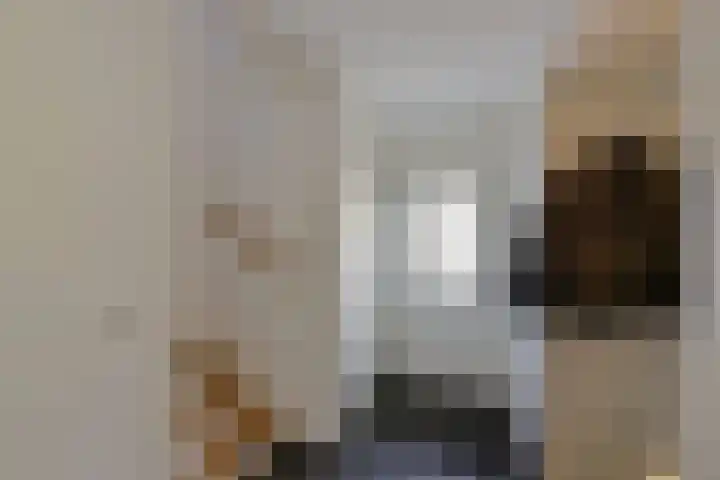 Scholekster 7 Mijdrecht thumbnail 14