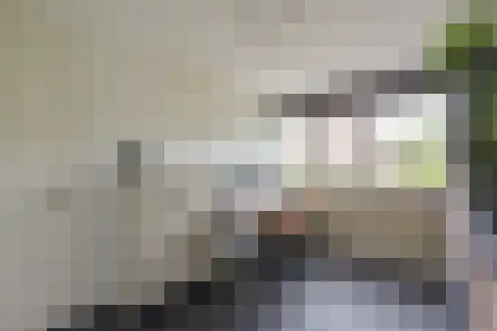 Scholekster 7 Mijdrecht thumbnail 16
