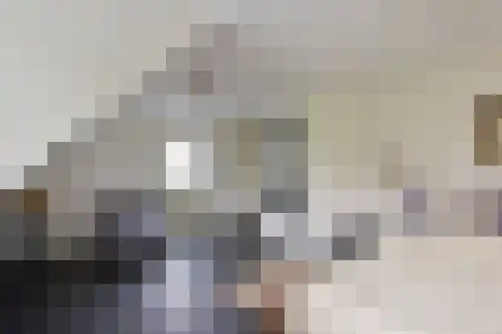 Scholekster 7 Mijdrecht thumbnail 19