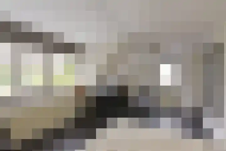 Scholekster 7 Mijdrecht thumbnail 20