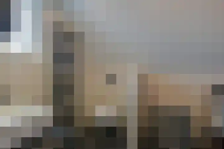 Scholekster 7 Mijdrecht thumbnail 23