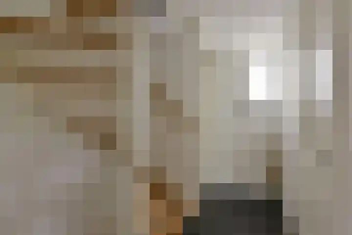 Scholekster 7 Mijdrecht thumbnail 24