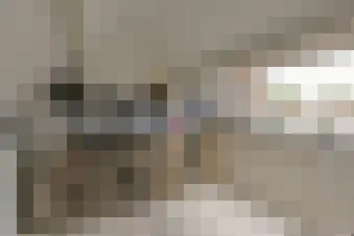Scholekster 7 Mijdrecht thumbnail 27