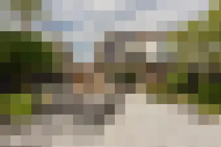Scholekster 7 Mijdrecht thumbnail 29