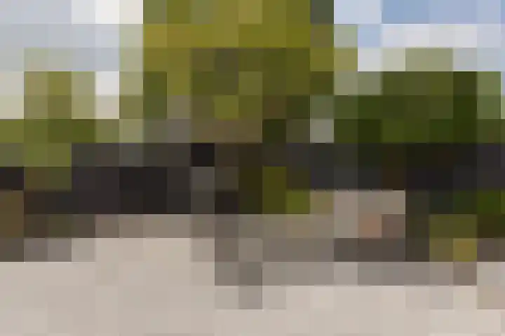 Scholekster 7 Mijdrecht thumbnail 30