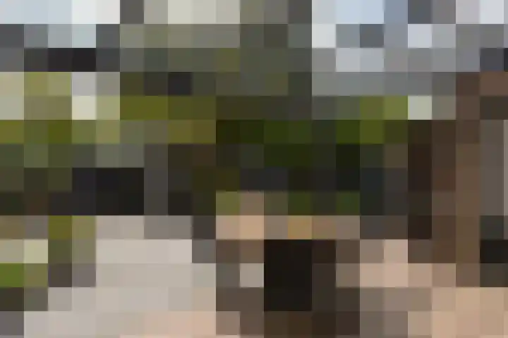 Scholekster 7 Mijdrecht thumbnail 32