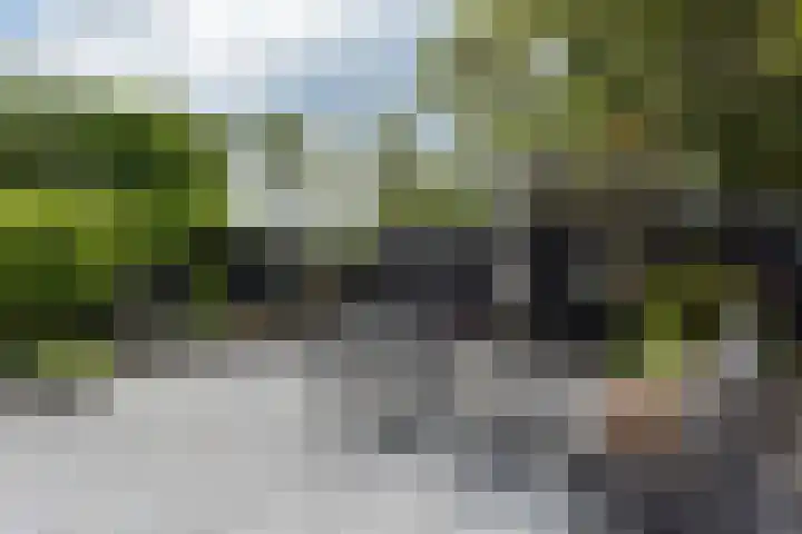 Scholekster 7 Mijdrecht thumbnail 33