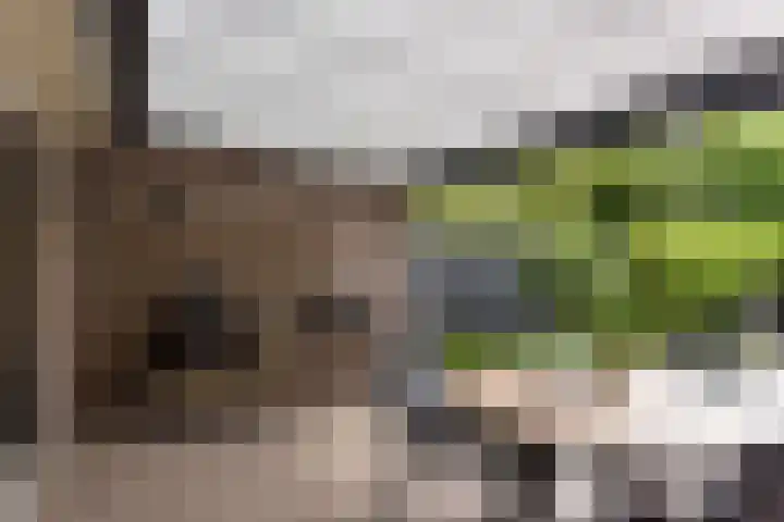 Scholekster 7 Mijdrecht thumbnail 34